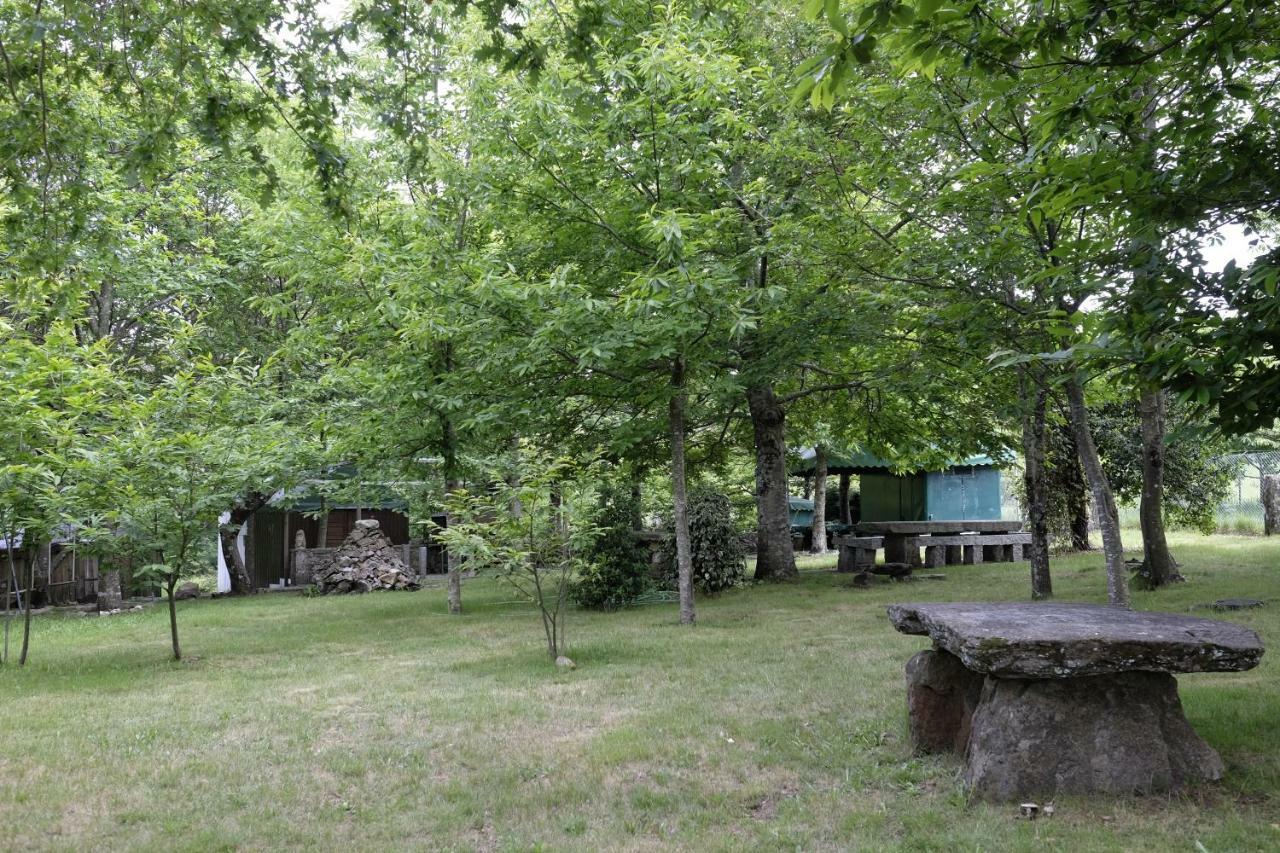 הוילה ואלה דה קאמברה Casa Do Aido De Cima מראה חיצוני תמונה